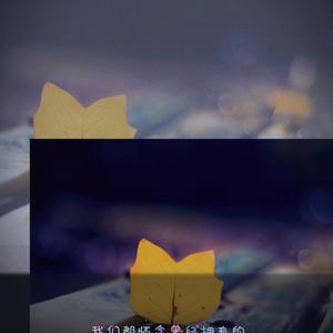 逹葢薾的旗帜2025地一地址二
